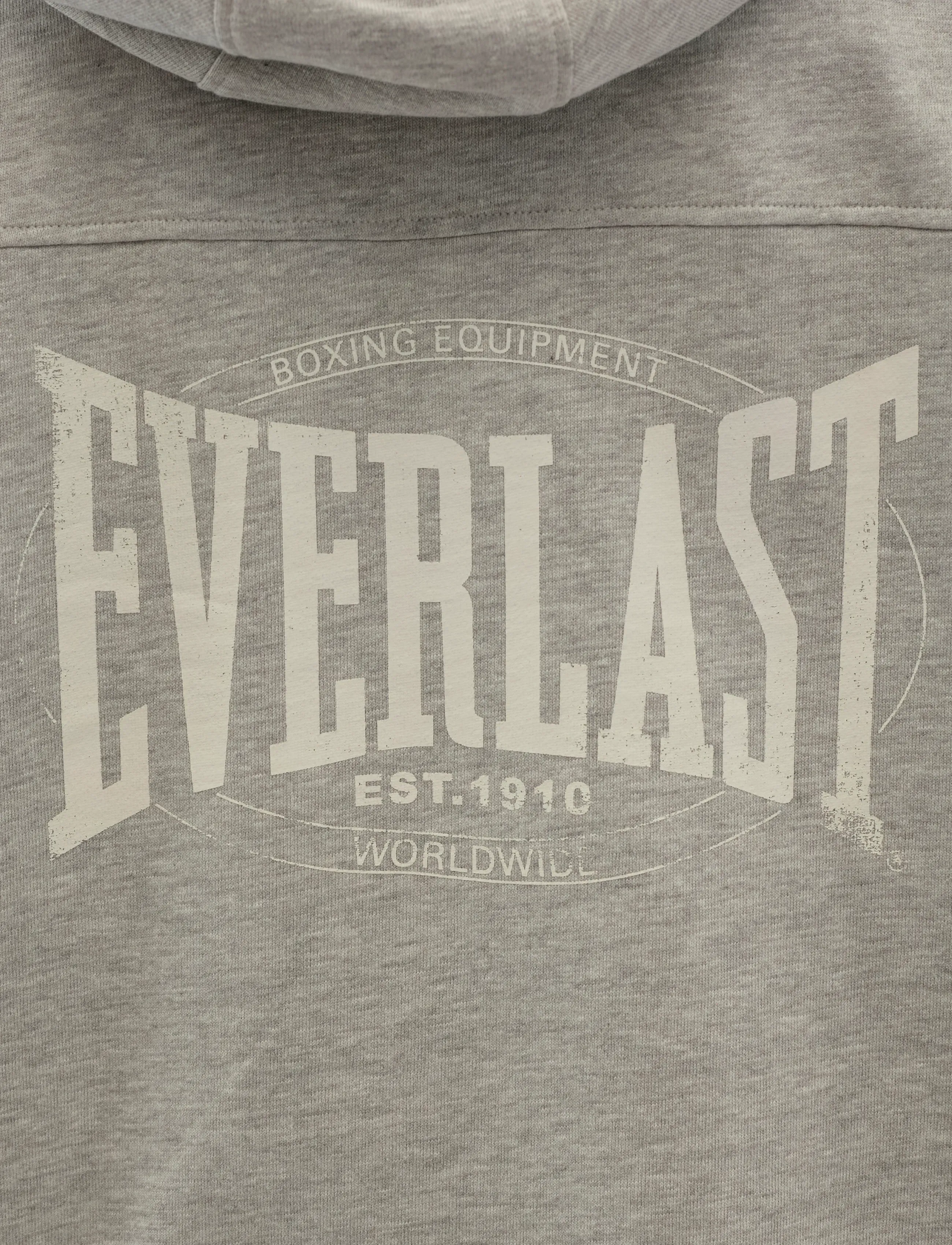 Everlast - EVERLAST OVERSIZED SWEAT HOODIE - hupparit - light grey melange - 5