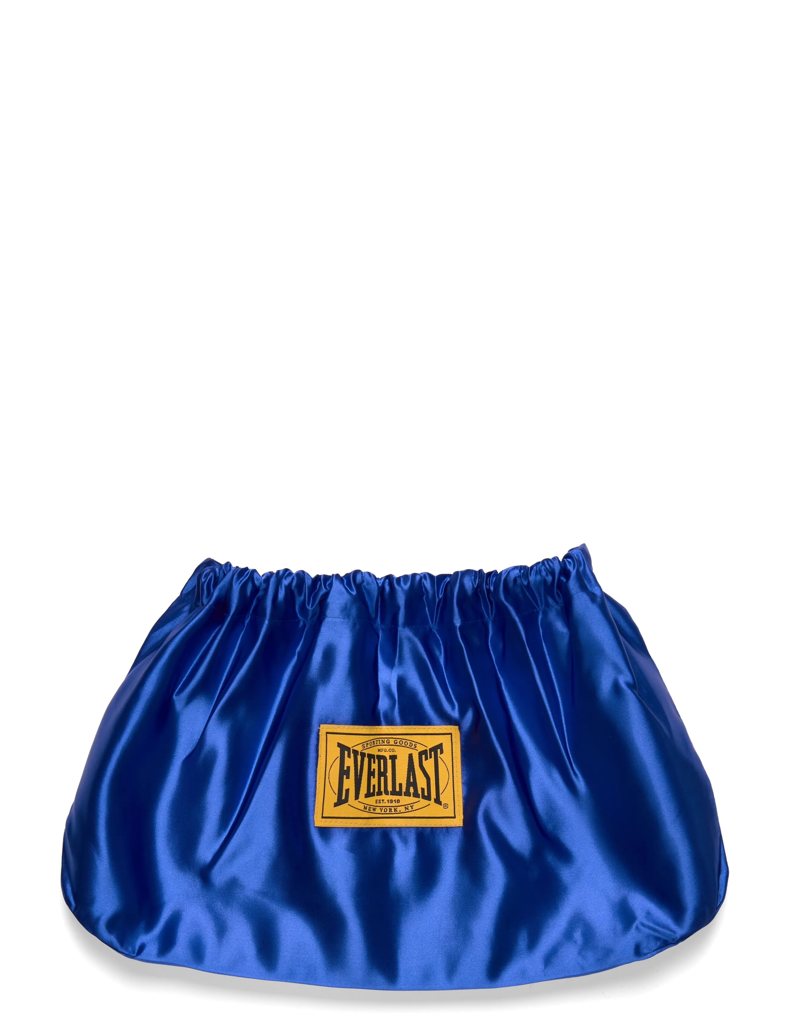 EVERLAST - 1910 Sparring H&L Glove - hnefaleikabúnaður - blue - 1
