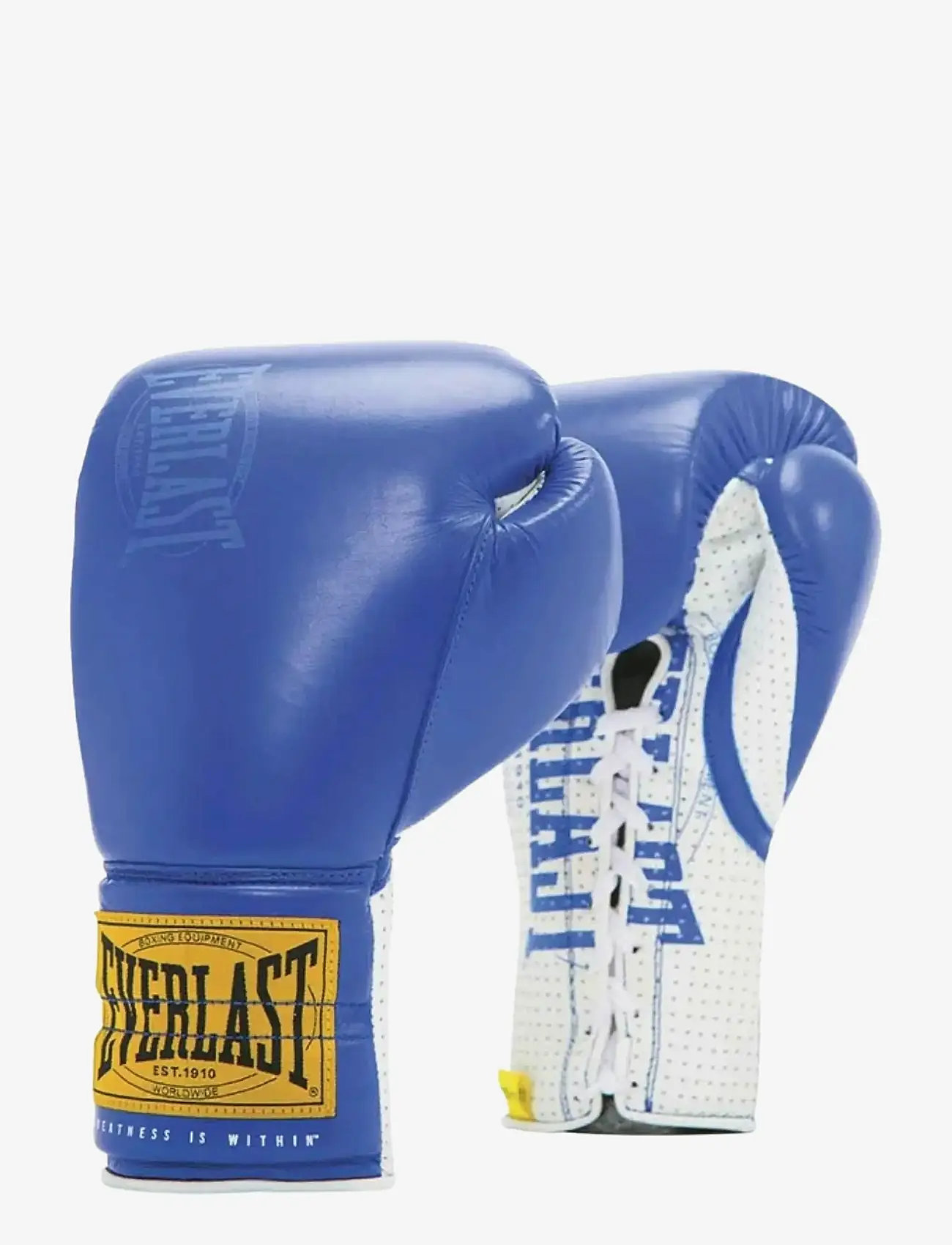 EVERLAST - 1910 Sparring Laced Glove - boxsportausrüstung - blue - 0