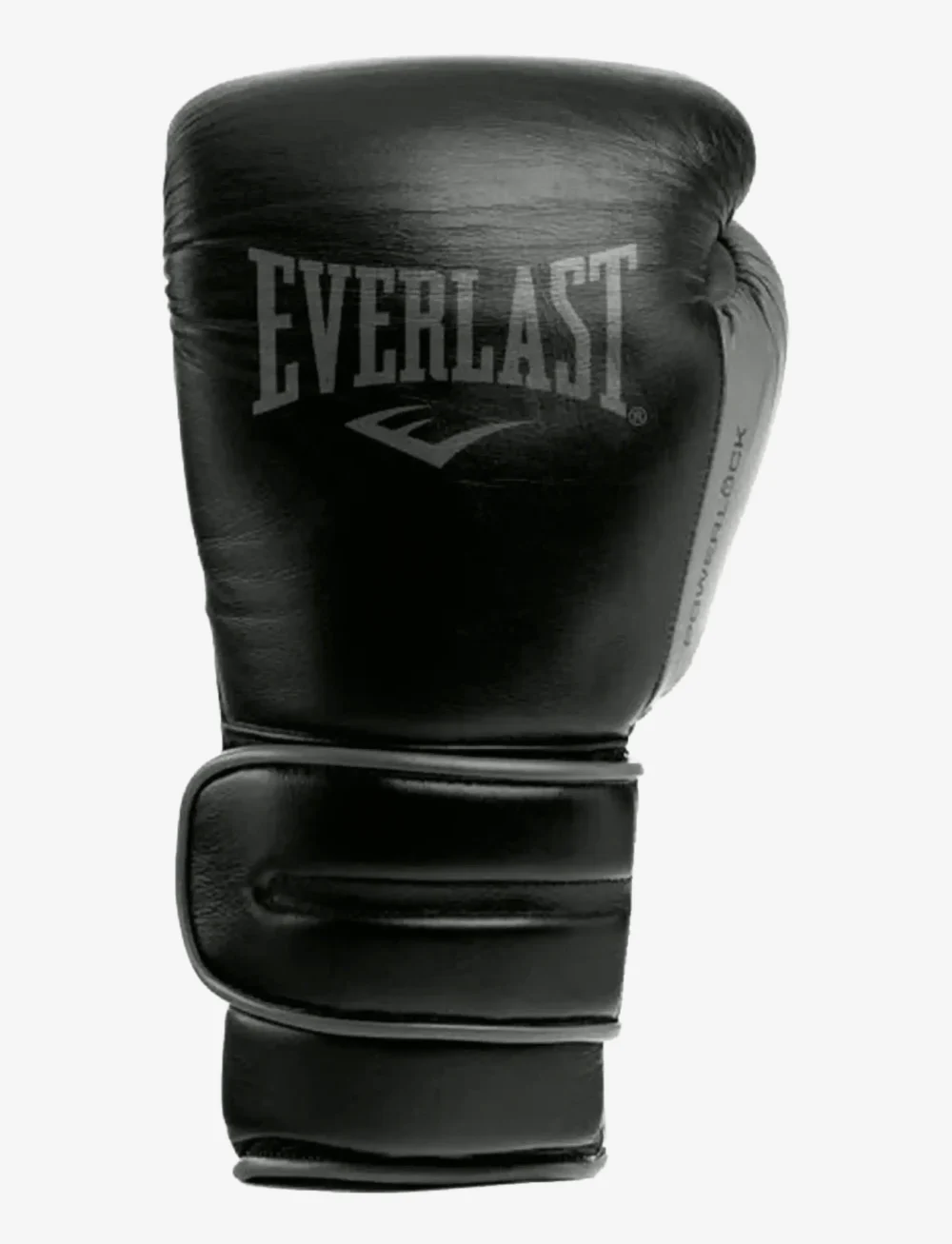 EVERLAST - Powerl 2 Pro Tr H&L Glove - boxsportausrüstung - black - 1
