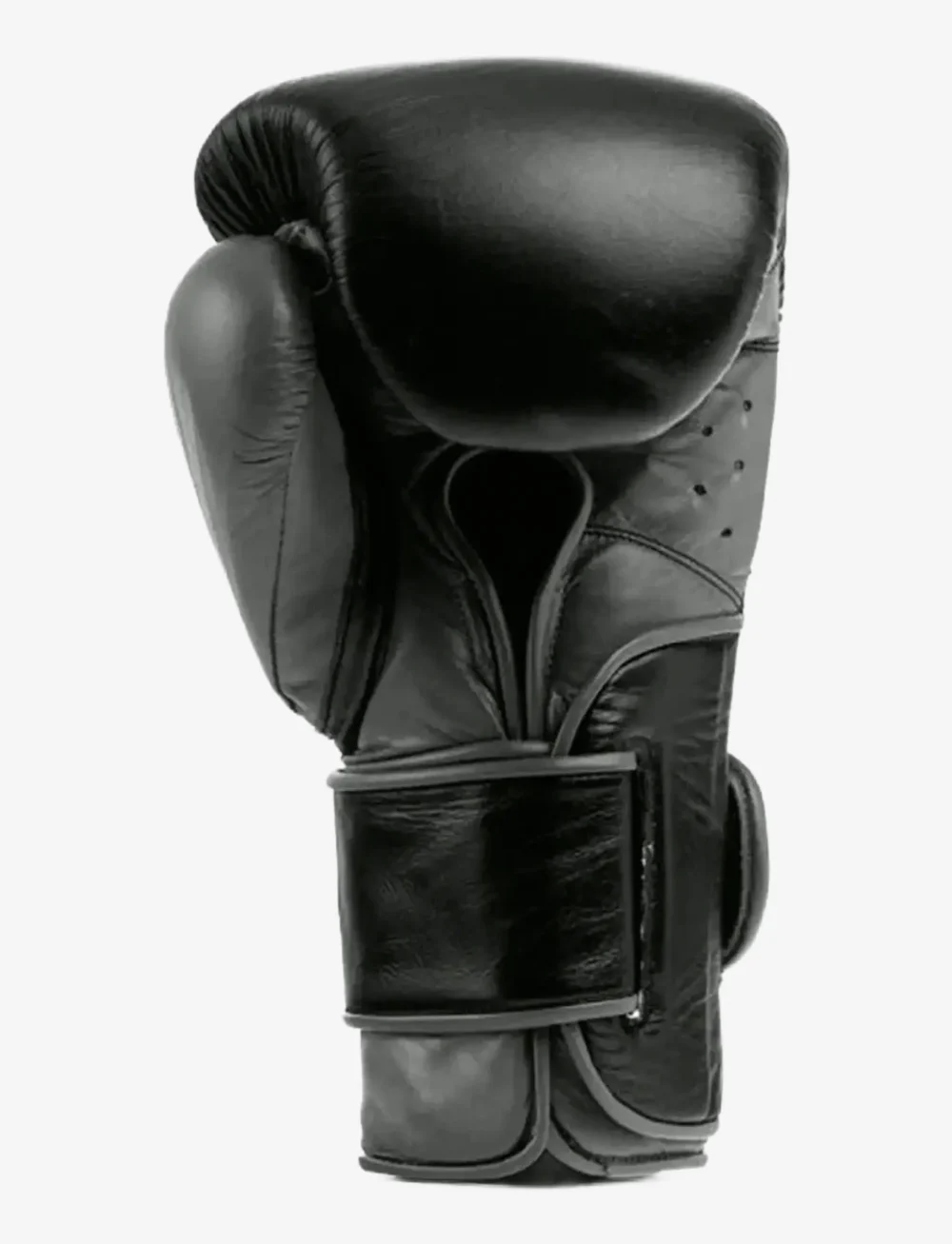 EVERLAST - Powerl 2 Pro Tr H&L Glove - boxsportausrüstung - black - 3