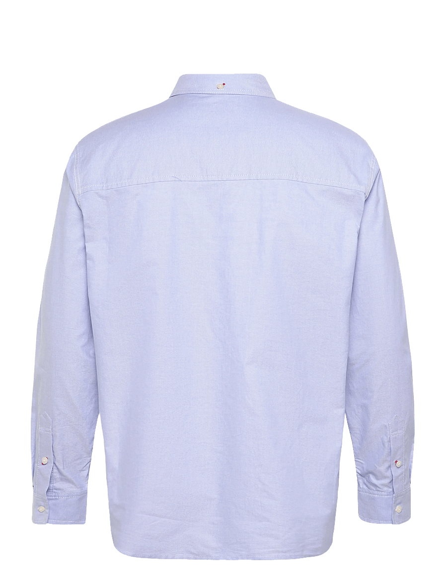 Evisu - HT, LS OXFORD SHIRT W/ BLACK SEAGULL PRINT - oxford skjorter - blue - 2