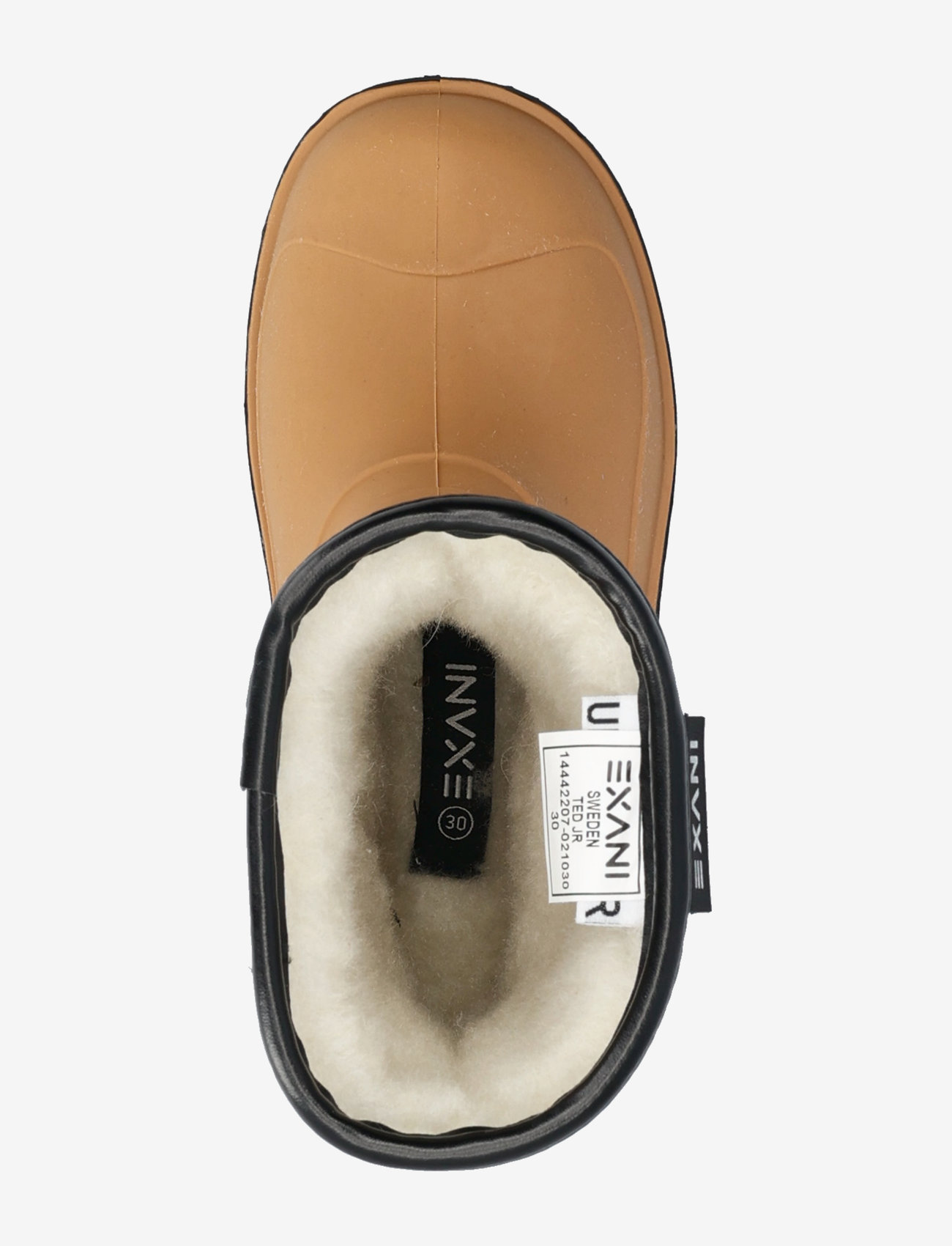 Exani - TED JR - rust - 3