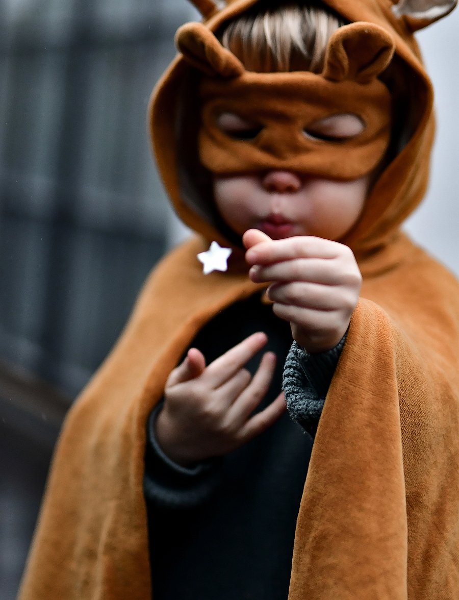Fabelab - Dress-Up - Animal Mask - Bear - ochre - 3