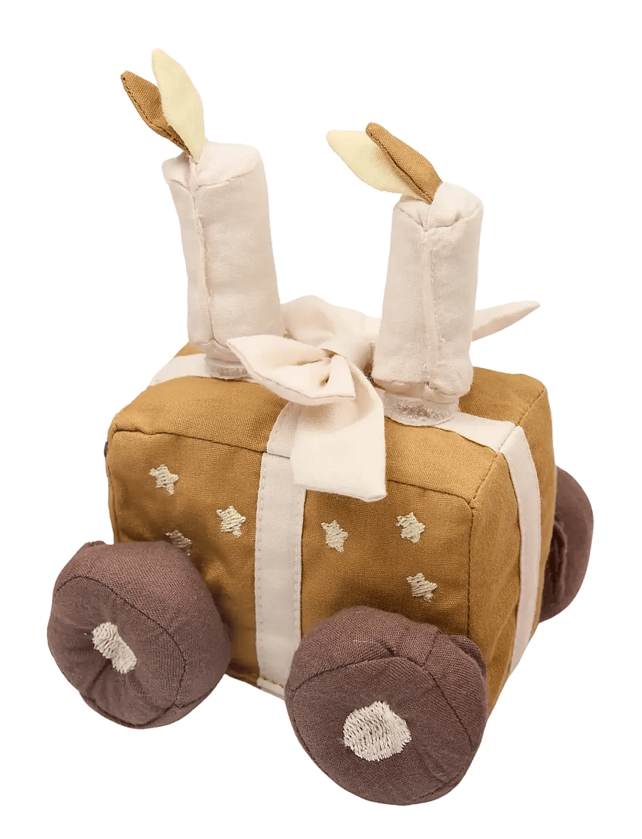 Fabelab - Celebration Train Rose Mix - Birthd - akcesoria dekoracyjne - ash rose - 3