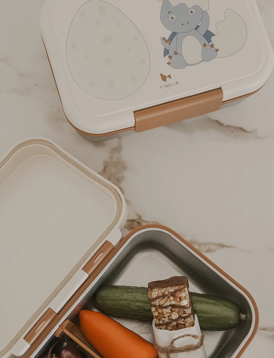 Fabelab - Lunch Box - Dinoland Blue - toidukarbid - seedpearl - 0