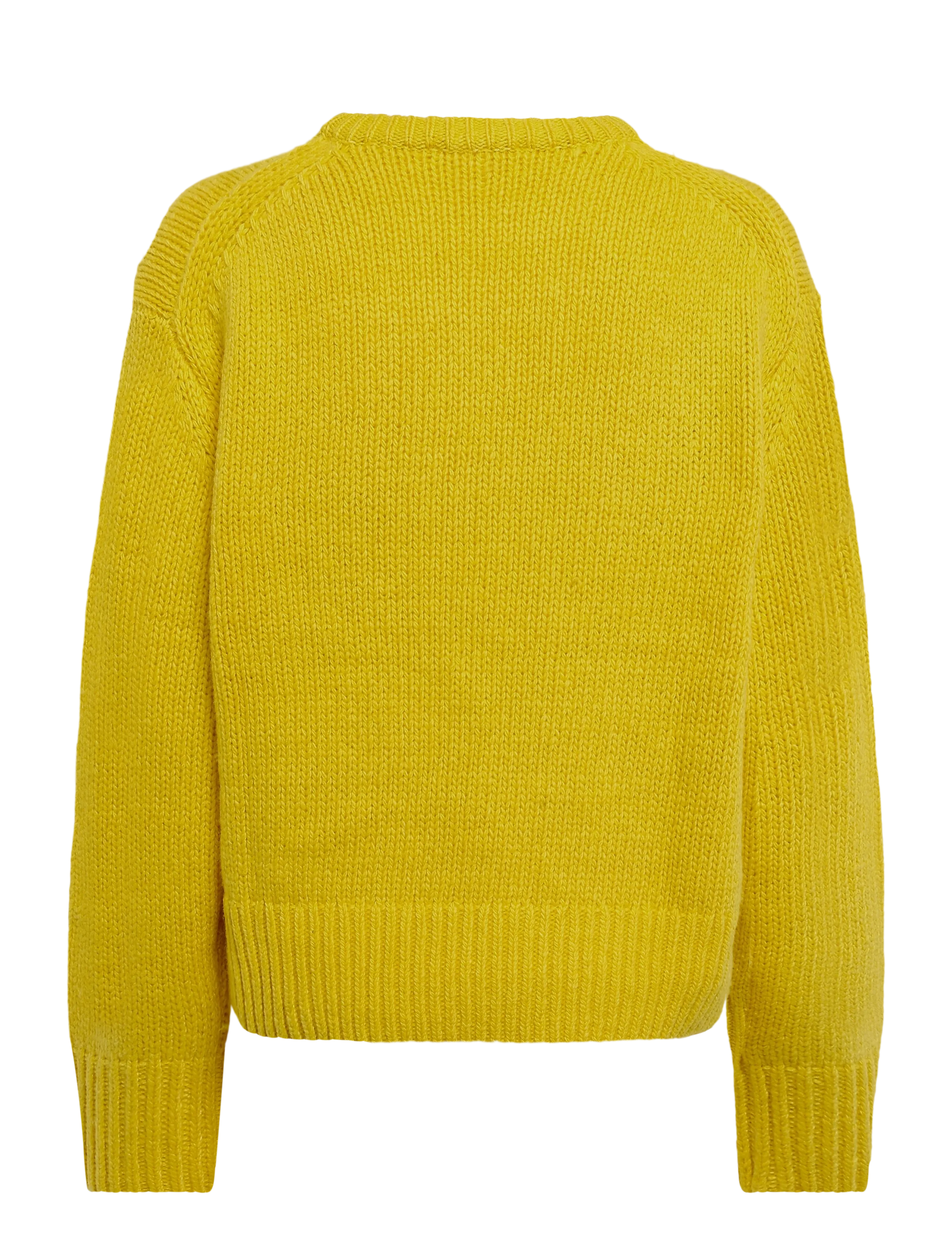 Fabienne Chapot - Dog Pullover - peysur - dandelion yellow - 2