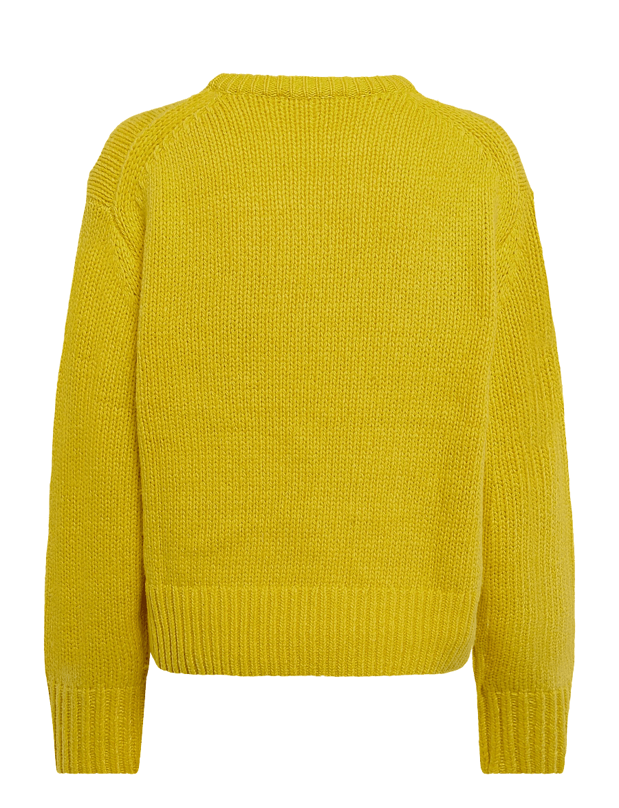 Fabienne Chapot - Dog Pullover - peysur - dandelion yellow - 2