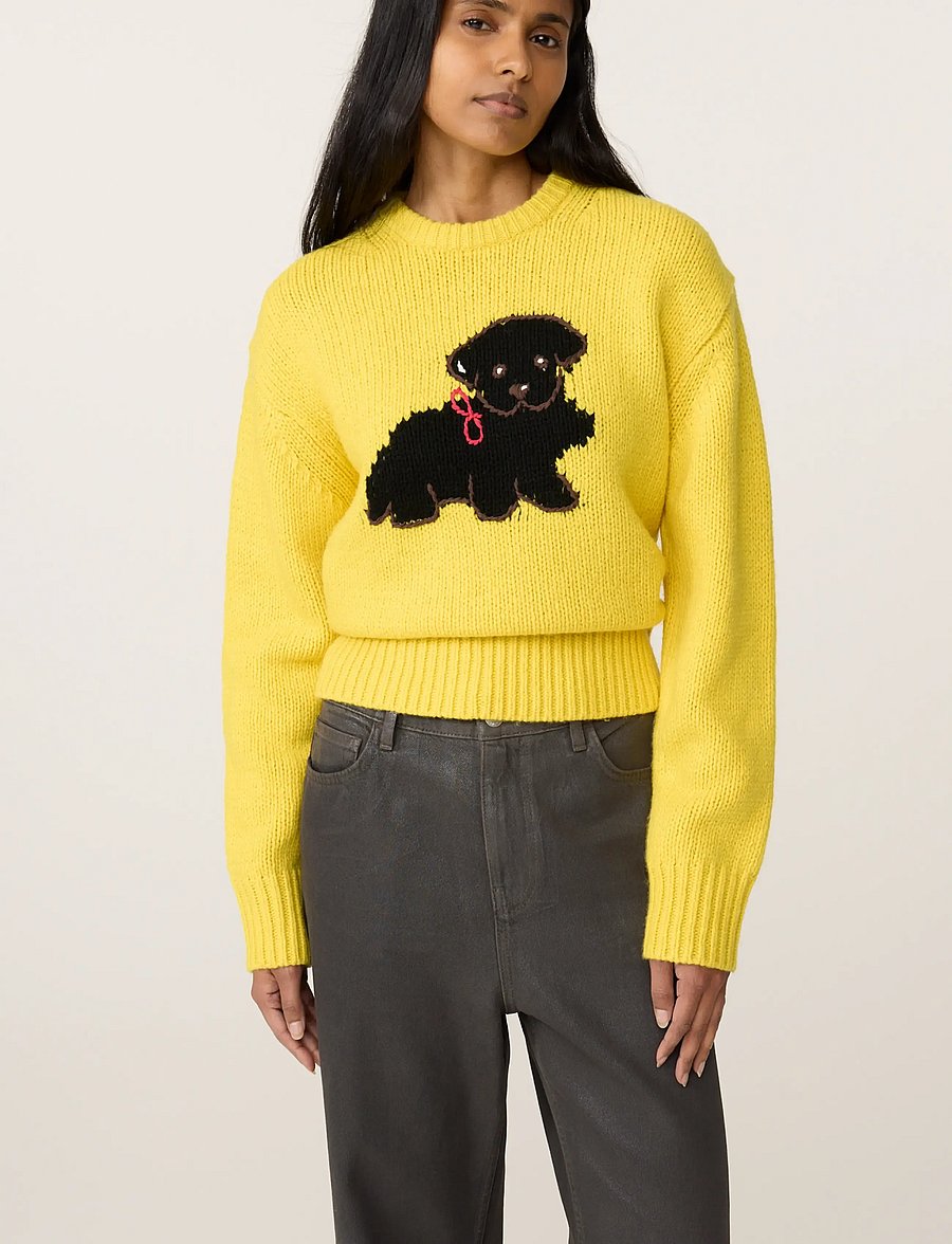 Fabienne Chapot - Dog Pullover - stickade tröjor - dandelion yellow - 2