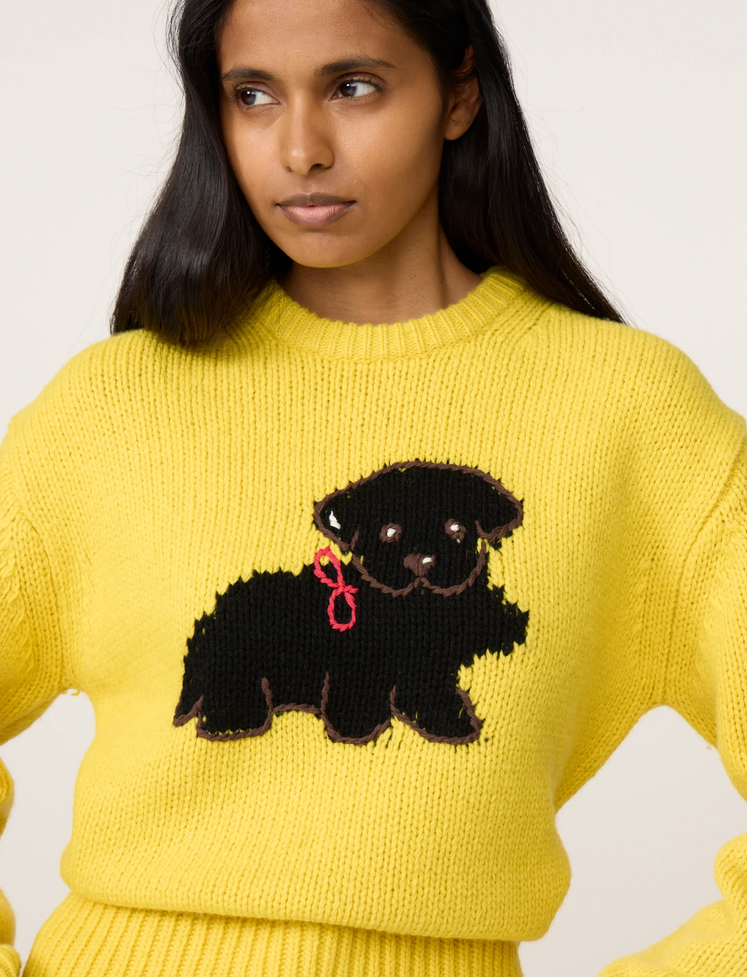 Fabienne Chapot - Dog Pullover - stickade tröjor - dandelion yellow - 4