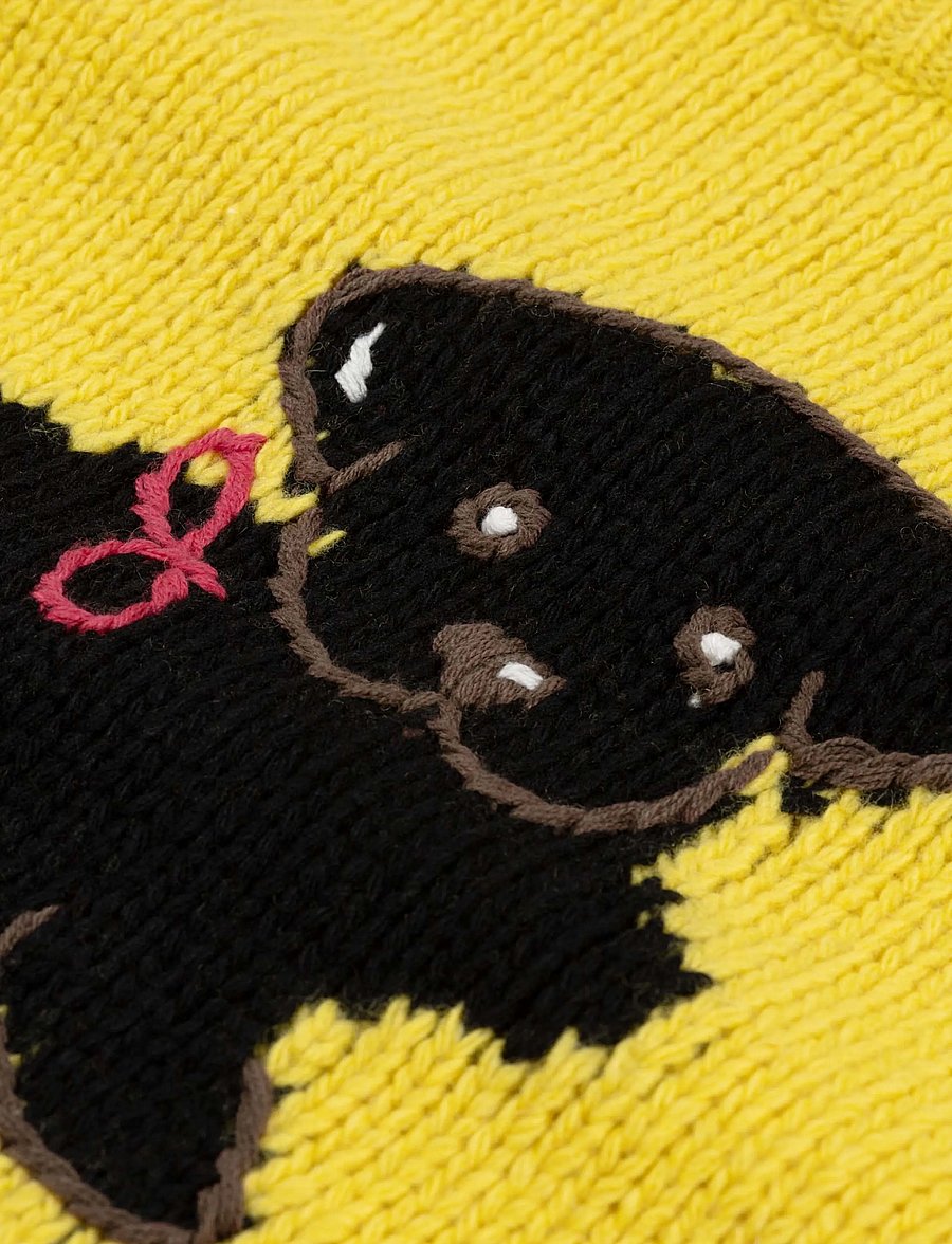 Fabienne Chapot - Dog Pullover - stickade tröjor - dandelion yellow - 5