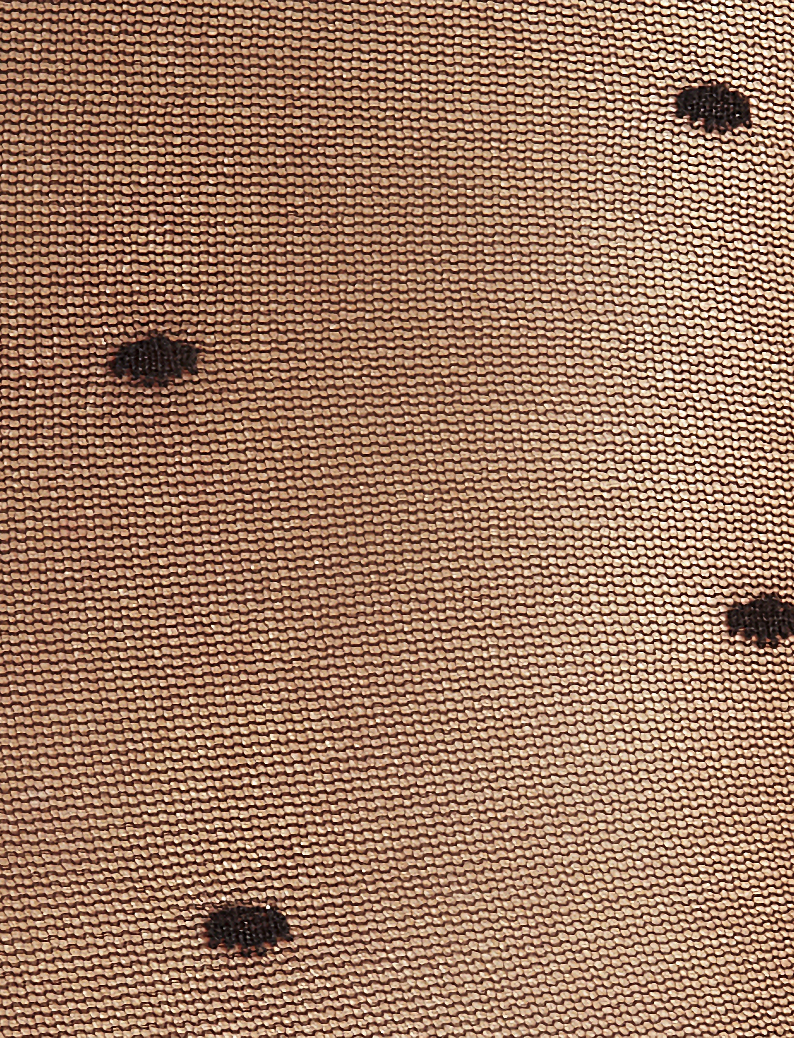 Falke Women Dot 15 Denier Transparent Matt strumpbyxor dam – bild 7