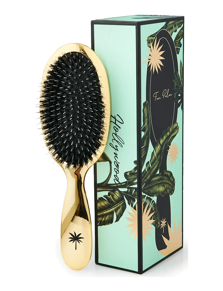 Fan Palm - Hollywood Medium - gold - 1