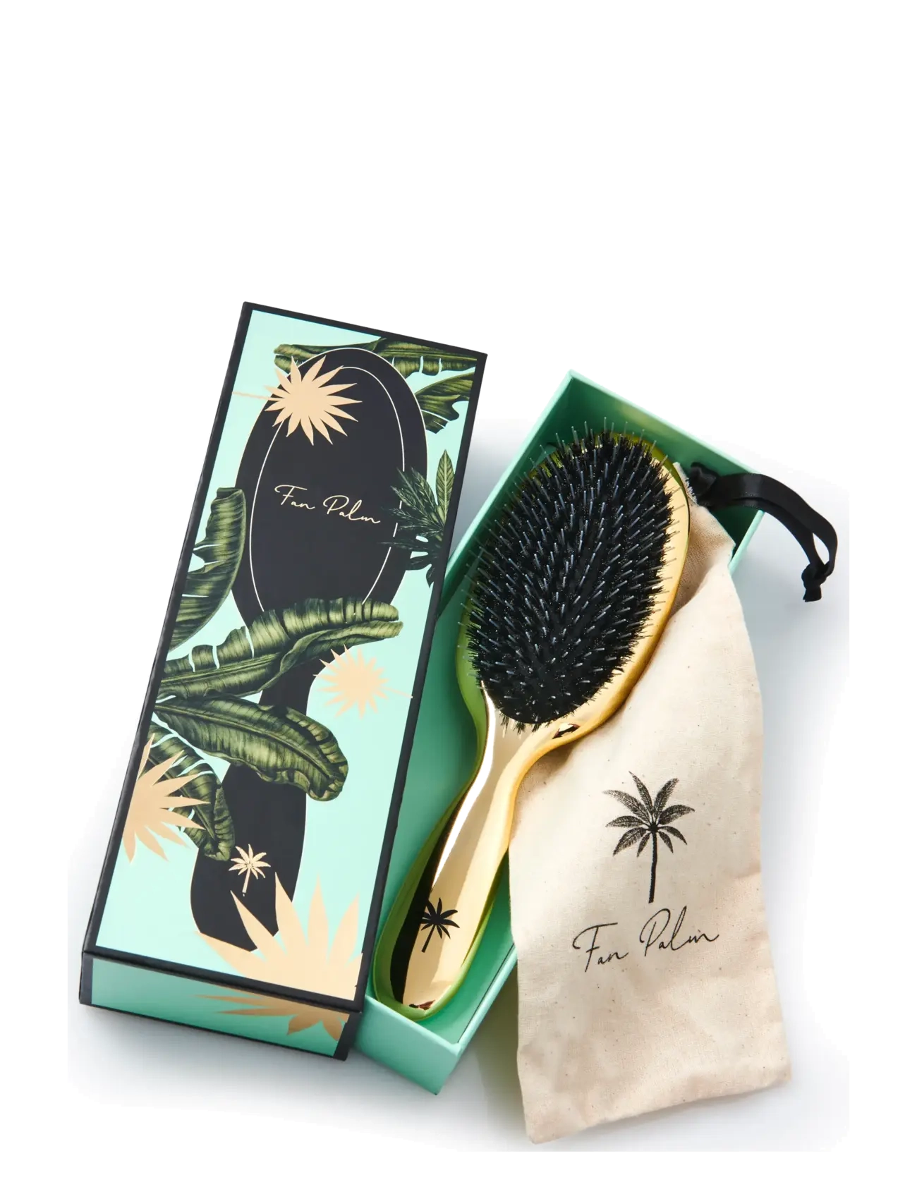 Fan Palm - Hollywood Medium - gold - 2