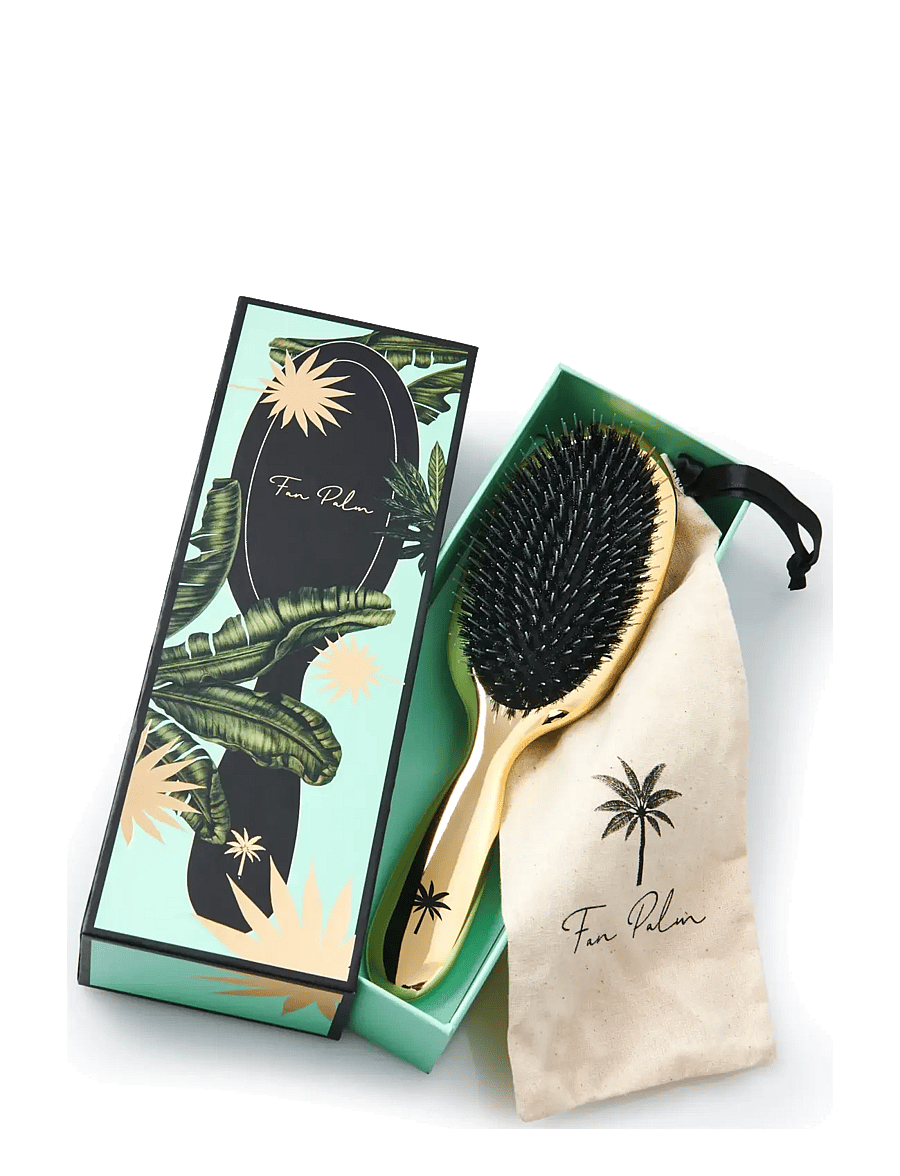 Fan Palm - Hollywood Medium - gold - 2