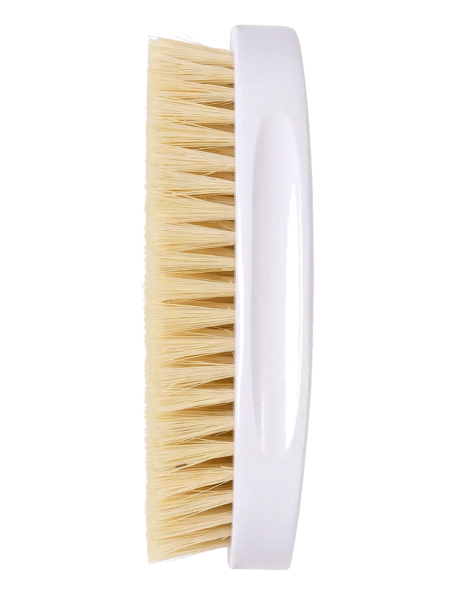 Fan Palm - Body Dry Brush - glossy white - 3