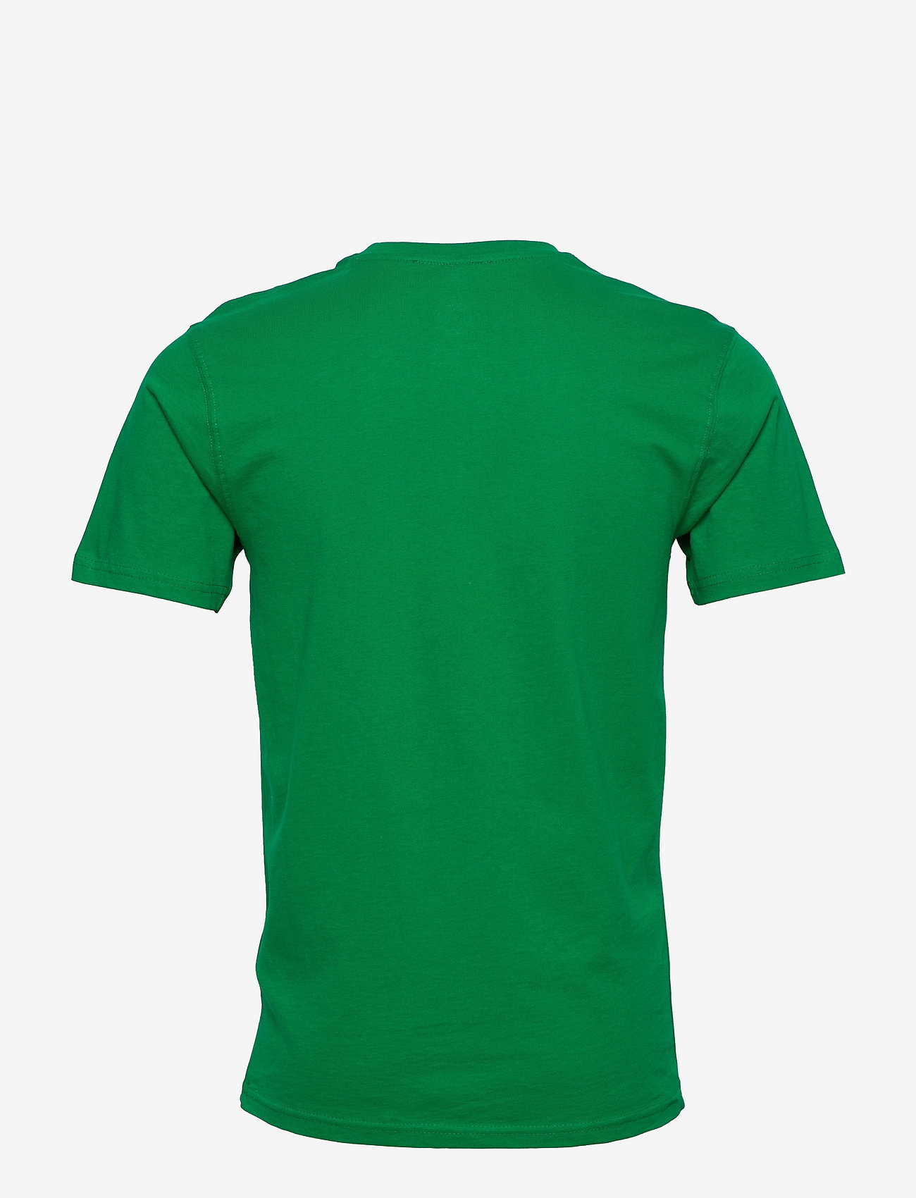 Fanatics - Dallas Stars Mono Team Arch Core Graphic T-Shirt - kelly green - 1