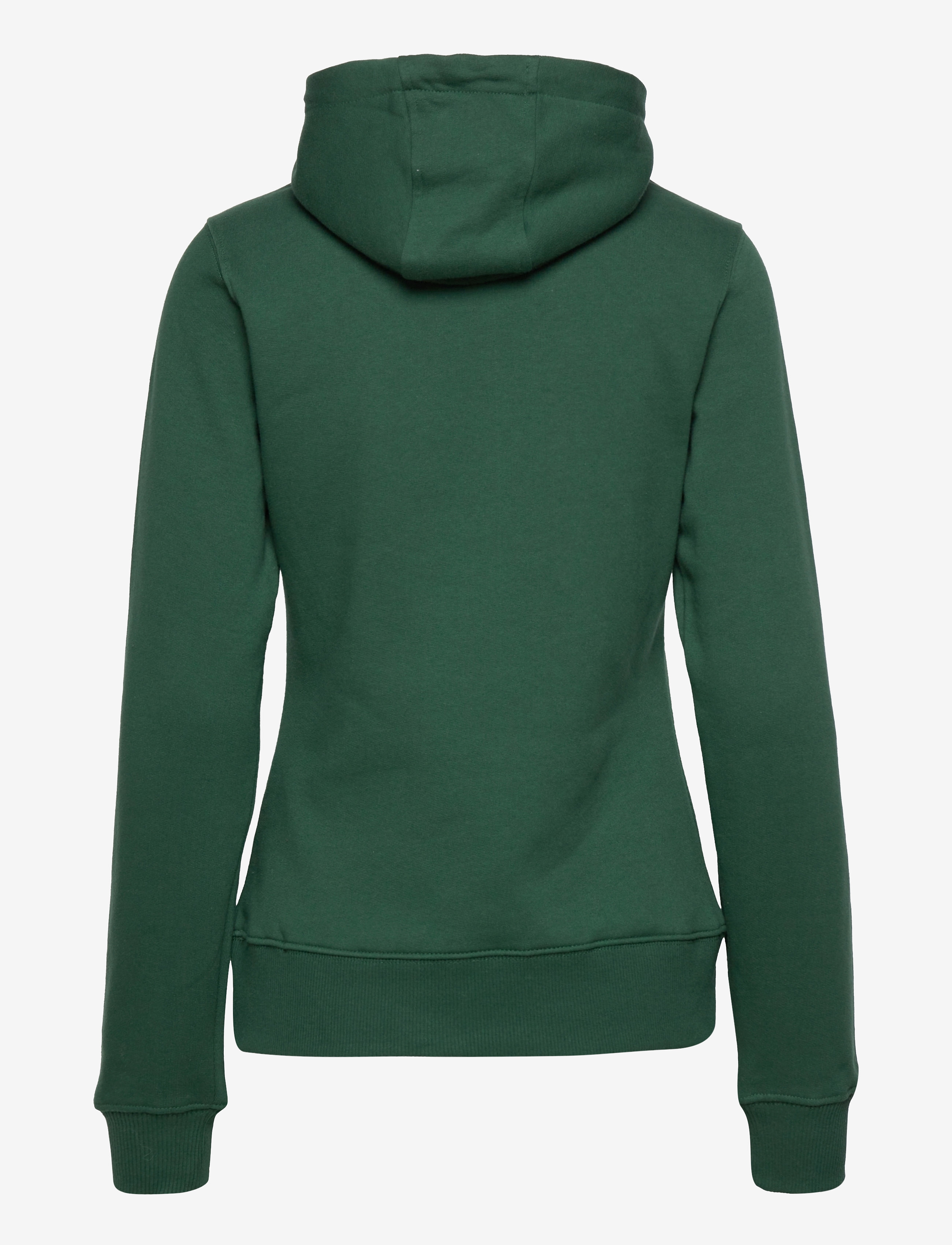 Fanatics - Green Bay Packers Mono Team Arch Core Graphic Hoodie - dark green - 1
