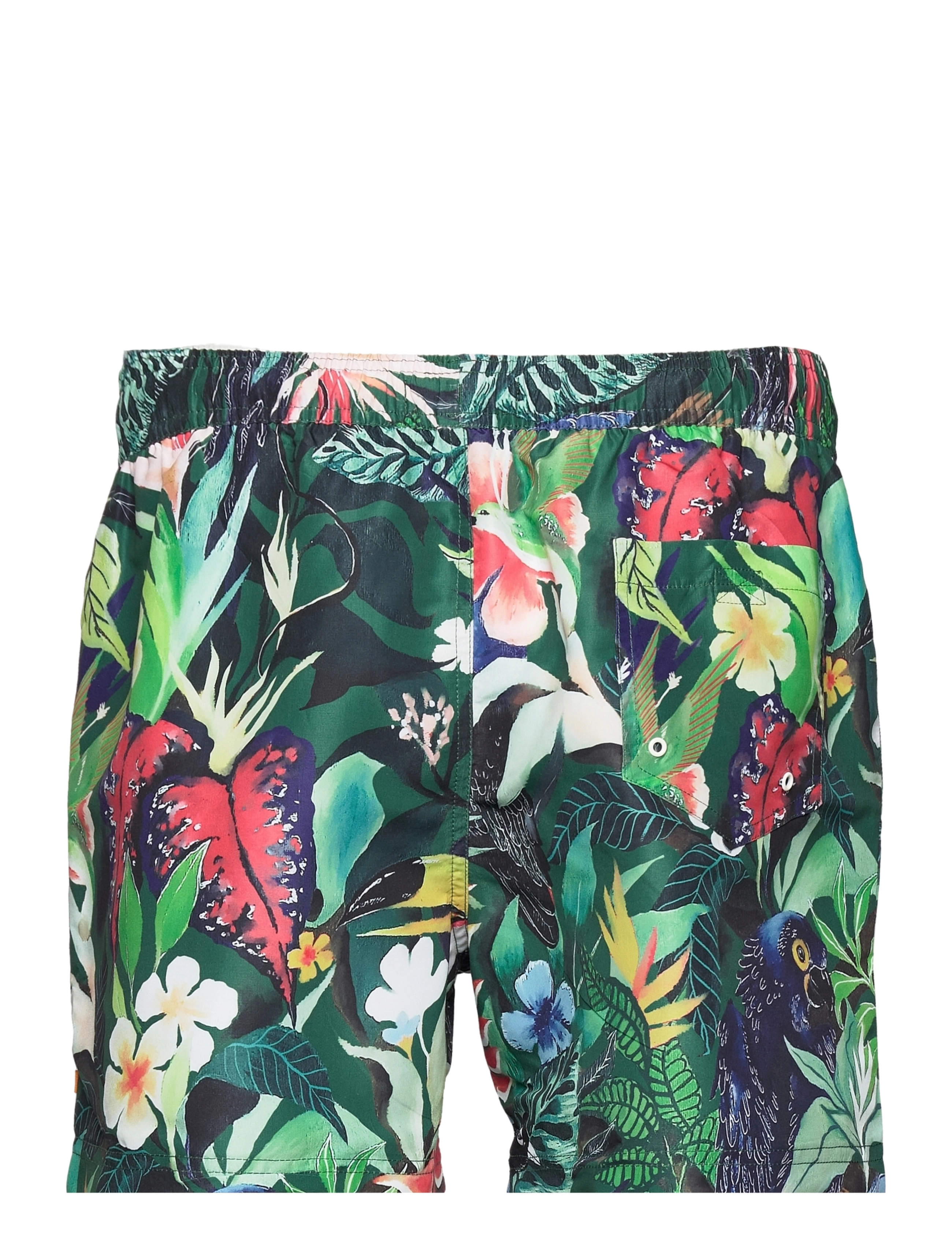 Far Afield - Printed Swmshorts - Vibrant Jungle - multi - 1