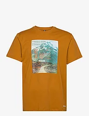 Fat Moose - Riff Cotton Tee - short-sleeved t-shirts - rust orange - 0
