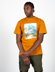 Fat Moose - Riff Cotton Tee - kortärmade t-shirts - rust orange - 2