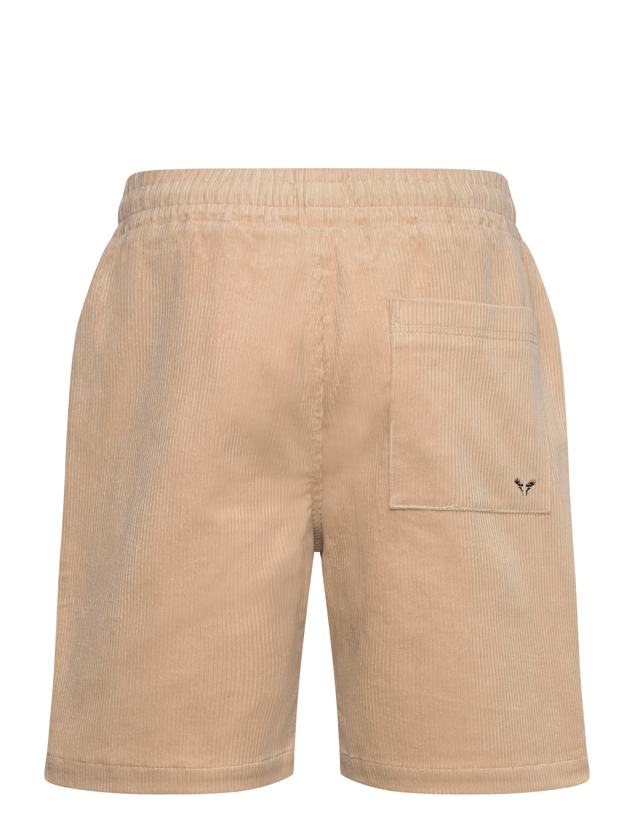 Fat Moose - Fox corduroy shorts - chino lühikesed püksid - ecru - 2