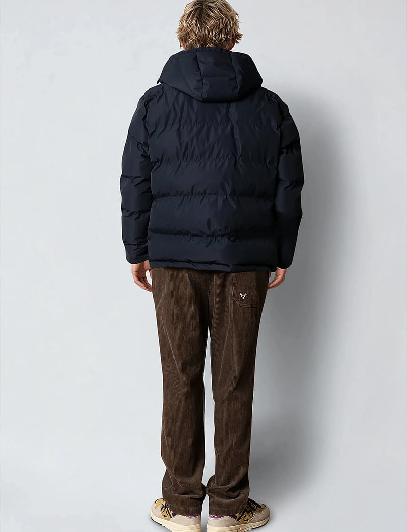 Fat Moose - Birk Jacket - vinterjackor - dark navy - 5