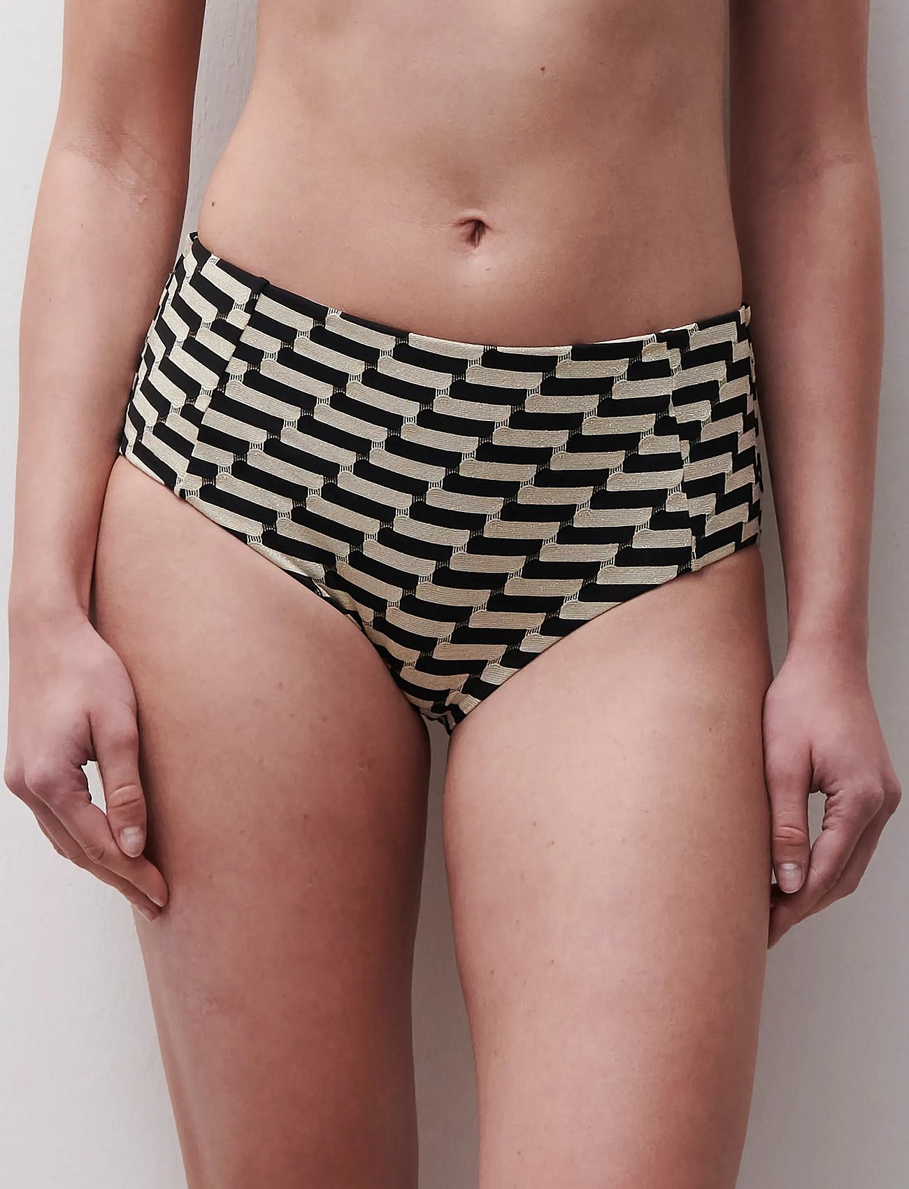 Santosa Full Brief - GOLDEN