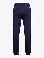 FILA - CISTA PROVO jogg pants - sports bottoms - medieval blue - 1