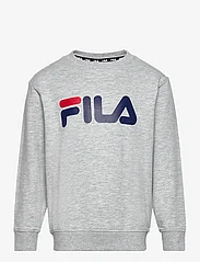 FILA - BABINA GREDA classic logo crew sweat - madalaimad hinnad - light grey melange - 0