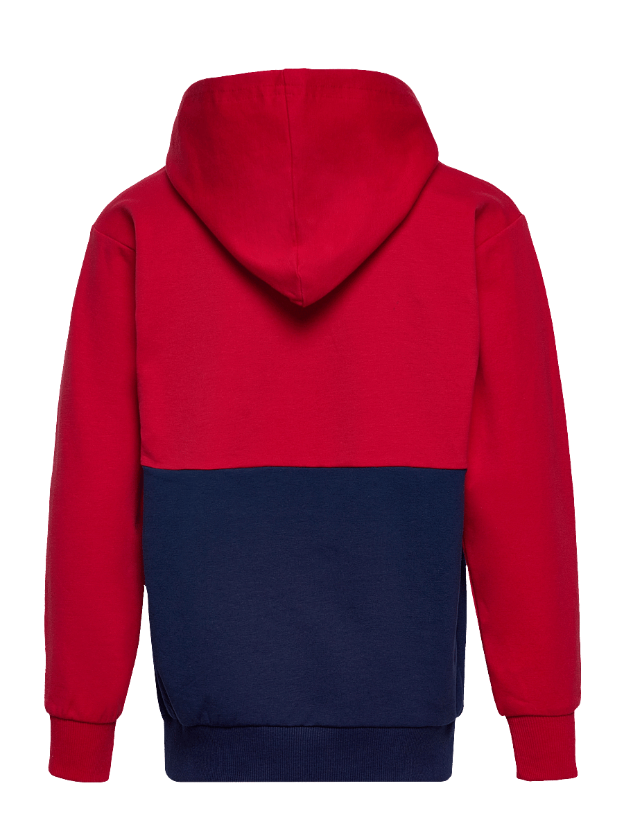 FILA - BAGANA blocked hoody - medieval blue-true red-bright white - 1