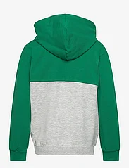FILA - BAAR-EBENHAUSEN - džemperi ar kapuci - light grey melange-verdant green-bl - 1