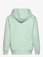 FILA - BALGE classic logo zip hoody - džemperi ar kapuci - silt green - 1