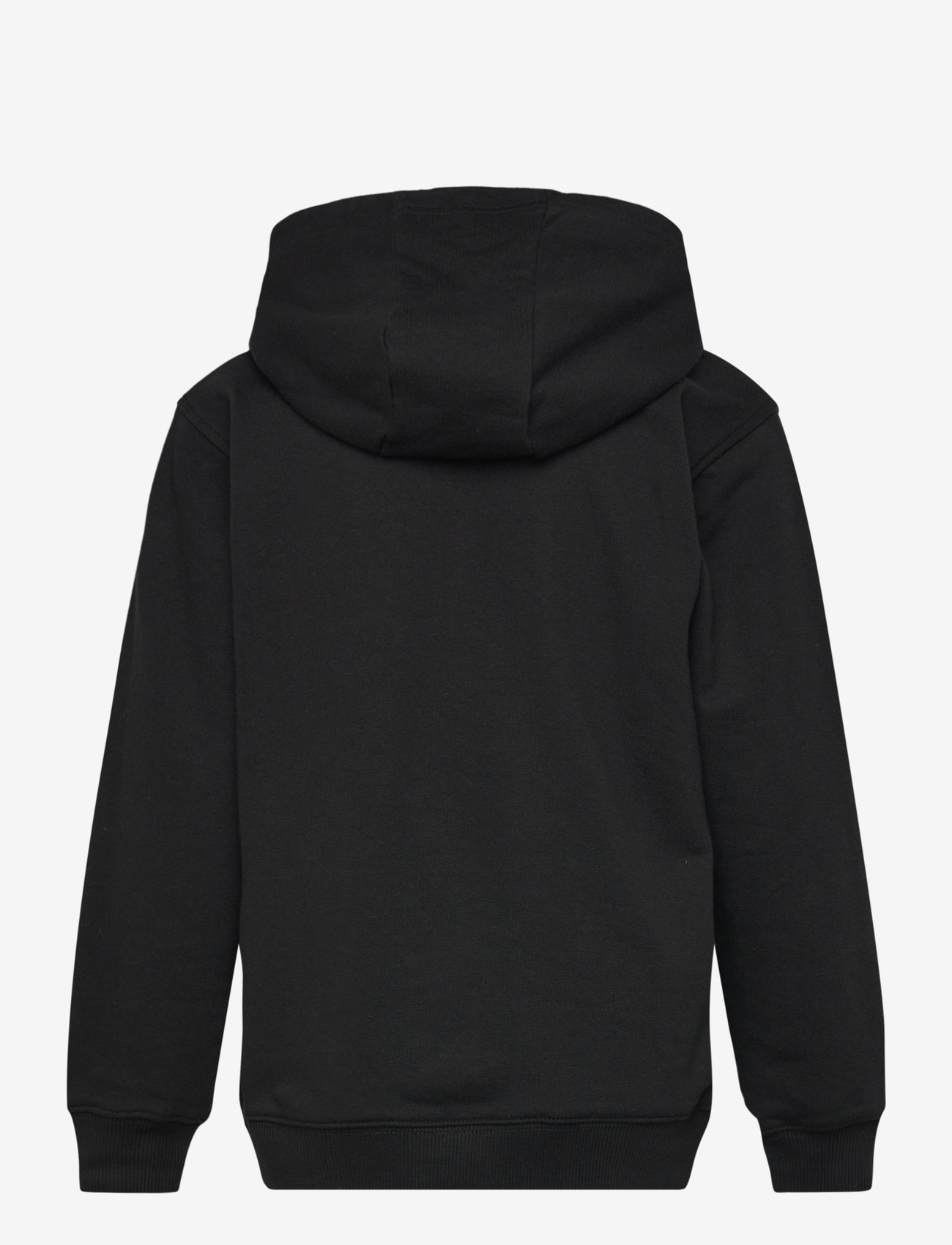 FILA - BENNA regular logo hoodie - kapuutsiga dressipluusid - black - 1