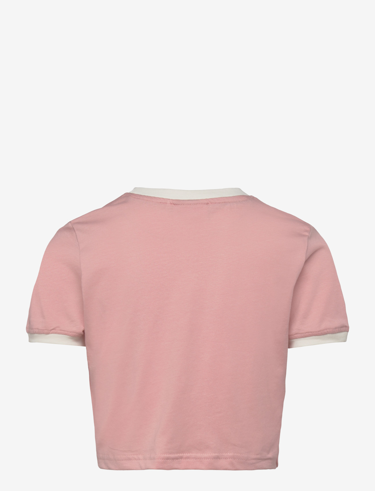 FILA - PRATOLINO cropped ringer t-shirt - kurzärmelig - mellow rose-egret - 1