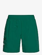 SALERNO cargo beach shorts - AVENTURINE
