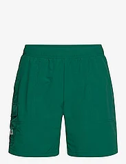 FILA - SALERNO cargo beach shorts - badeshorts - aventurine - 0