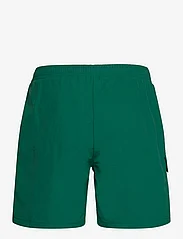 FILA - SALERNO cargo beach shorts - badeshorts - aventurine - 1