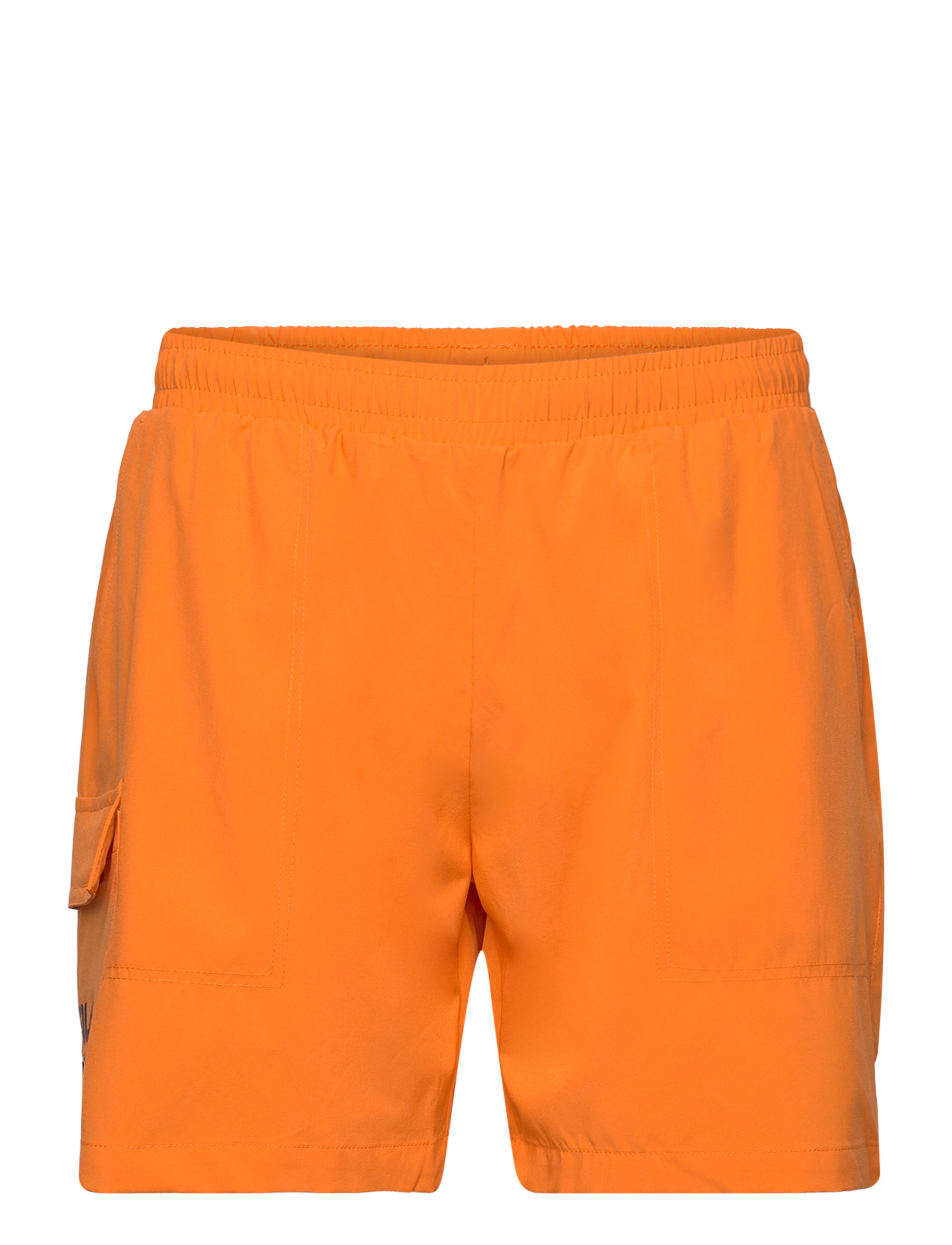 CELOSIA ORANGE