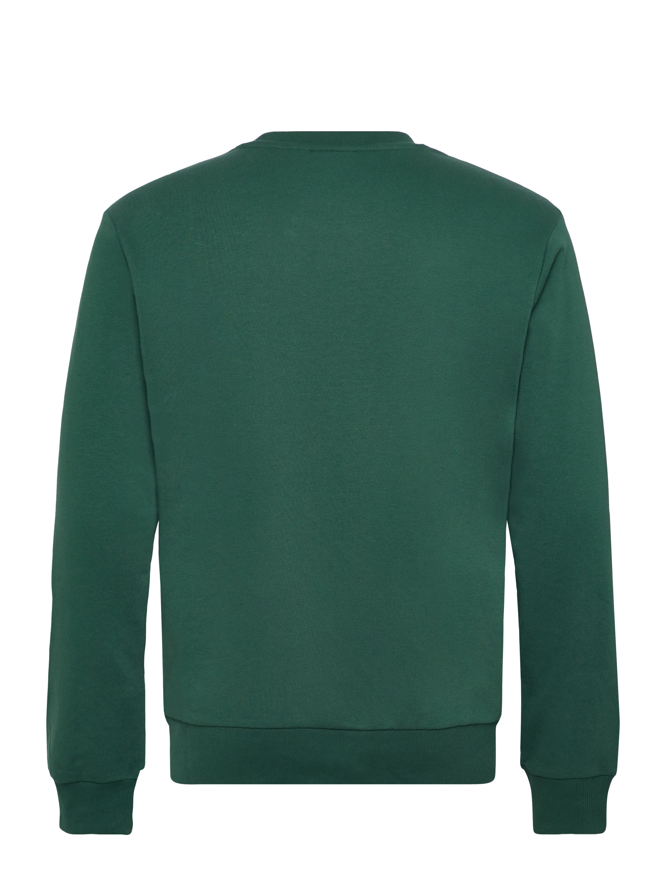 FILA - LEVERANO regular crew sweat - oberteile - posy green - 1
