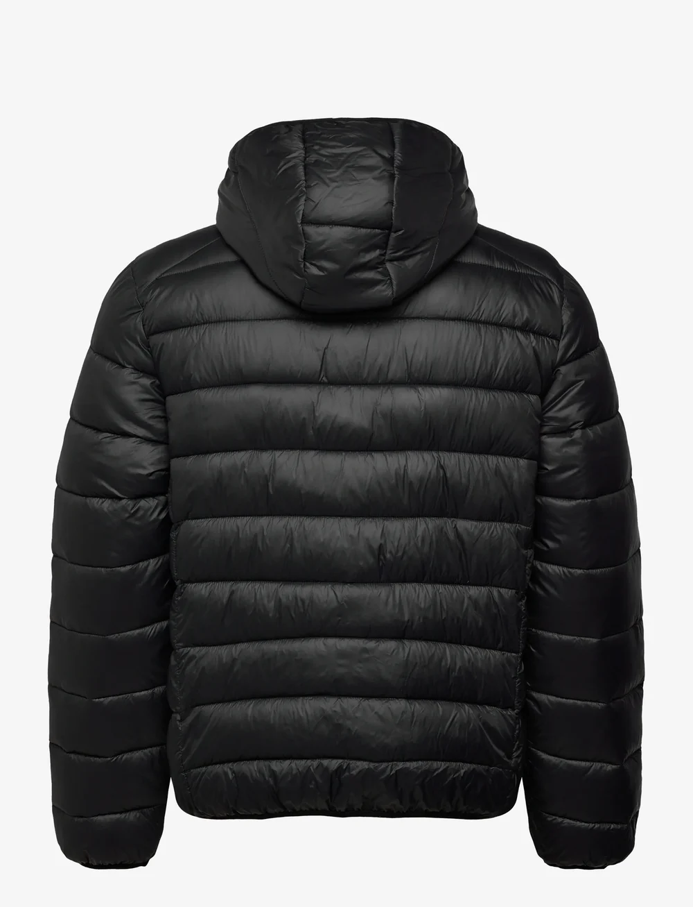 FILA - MILANO regular hooded thin puffer jacket - winterjacken - black - 2