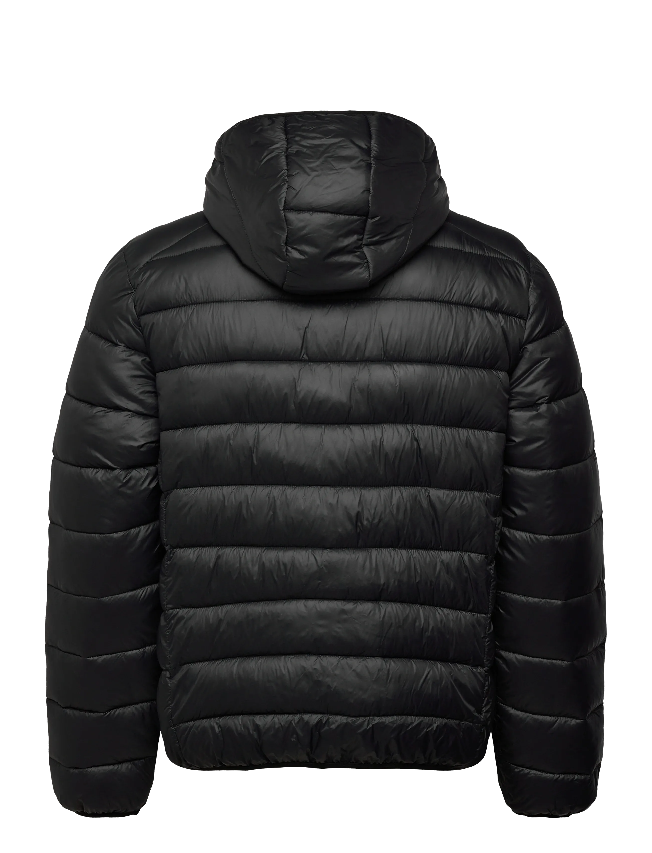 FILA - MILANO regular hooded thin puffer jacket - sportjacken - black - 2