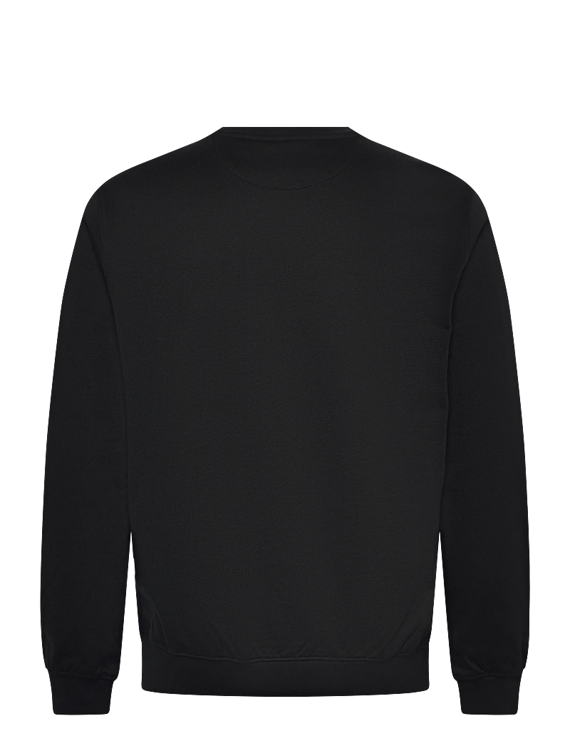 FILA - BIELLA regular crewneck sweatshirt - oberteile - black - 1