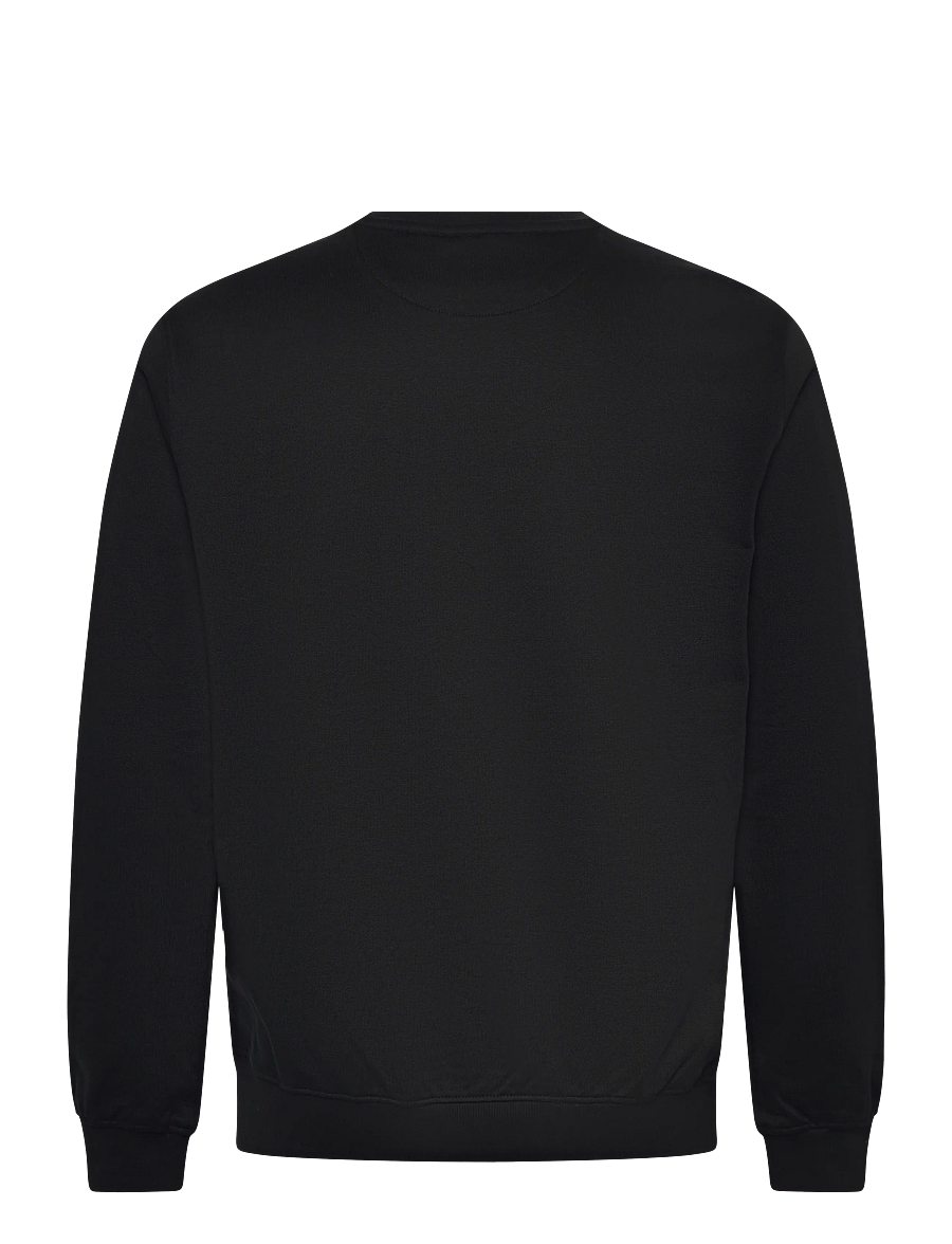 FILA - BIELLA regular crewneck sweatshirt - oberteile - black - 1