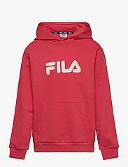 FILA - SANDE - hoodies - cayenne - 0