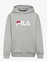 FILA - SANDE - džemperiai su gobtuvu - light grey melange - 0