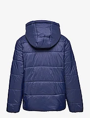 FILA - BUNIEL padded jacket - isolierte jacken - medieval blue - 1