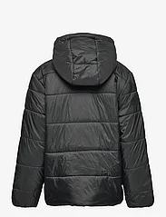 FILA - BUNIEL padded jacket - insulated jackets - moonless night - 1