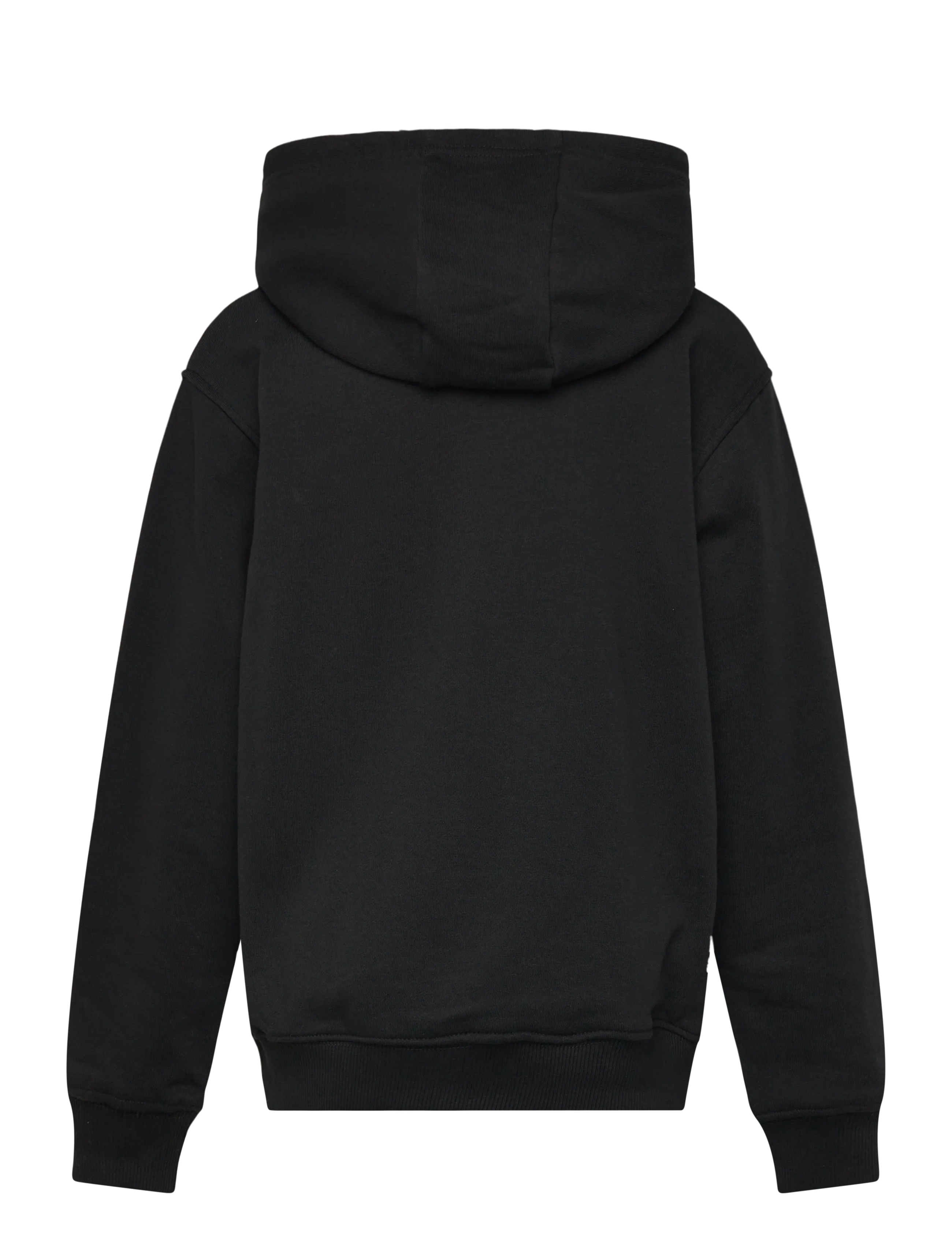 FILA - CARISIO regular logo hoodie - kapuutsiga dressipluusid - black - 1