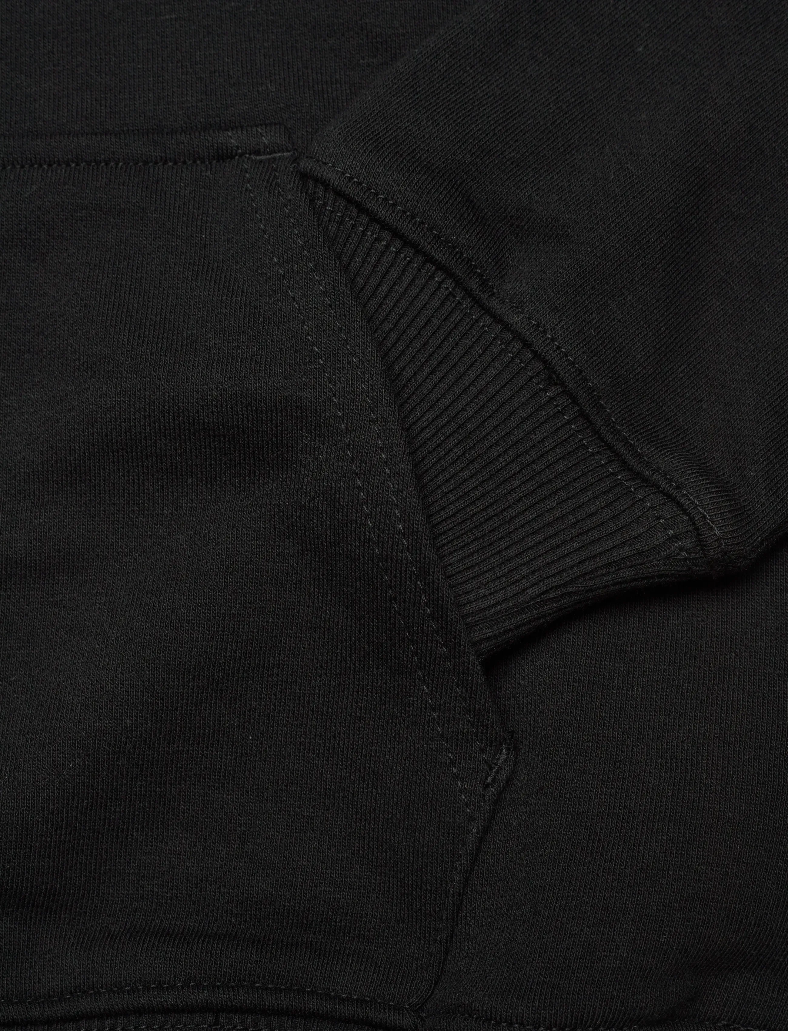 FILA - CARISIO regular logo hoodie - kapuutsiga dressipluusid - black - 3